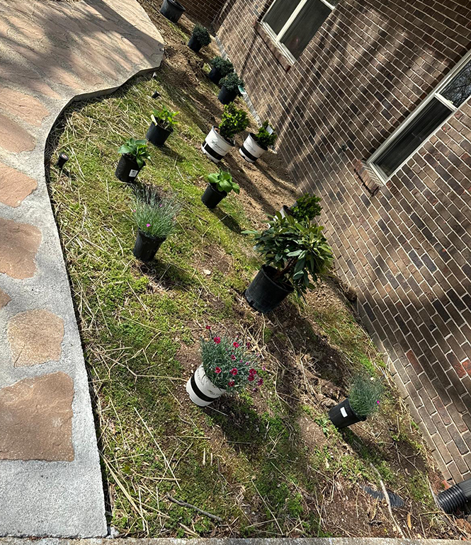 Features Image